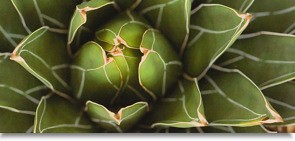 Vzorník látek markýzy