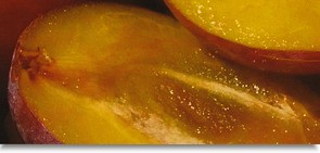 Vzorník látek markýzy